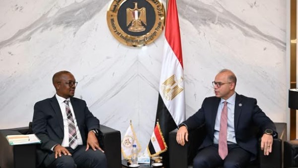 مصر وجنوب أفريقيا تبحثان تعزيز التعاون التجاري والاستثماري والصناعي