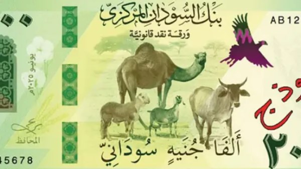 العملة السودانية تواصل الهبوط أمام الدولار وتلامس 5500 جنيه