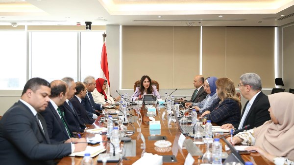 المهندسة راندة المنشاوي