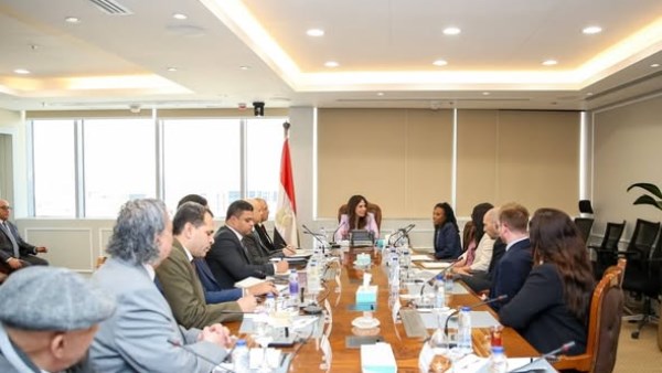 المهندسة راندة المنشاوي