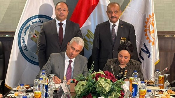 هيئة تنمية الصعيد
