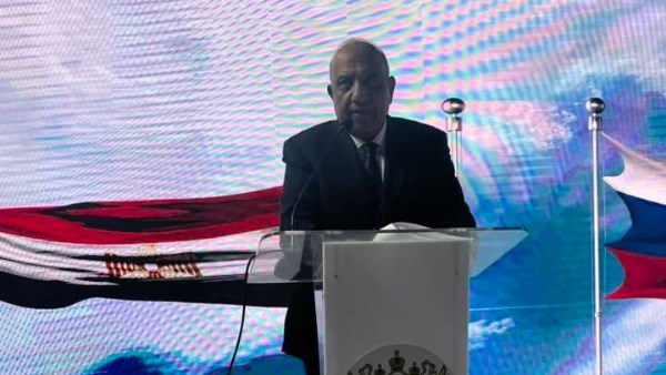 الدكتور محمود عصمت