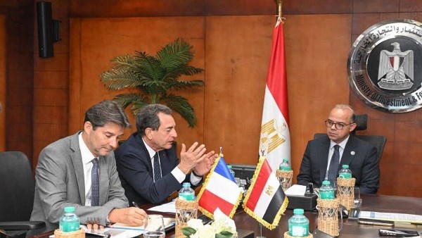 وزير الاستثمار