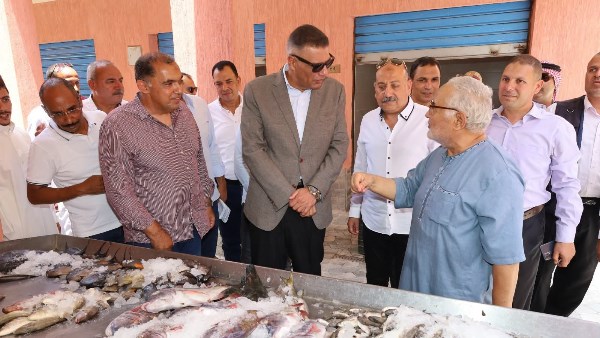 جنوب سيناء 