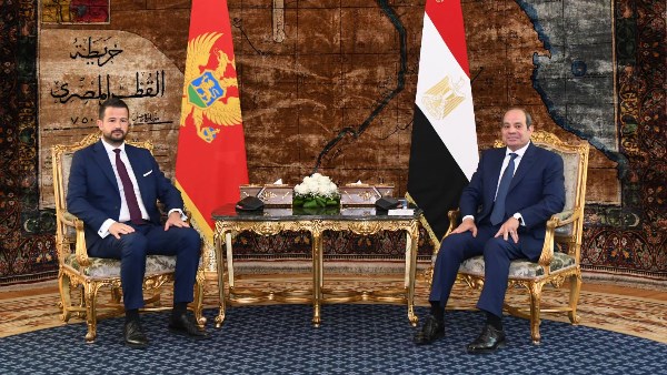 الرئيس السيسى