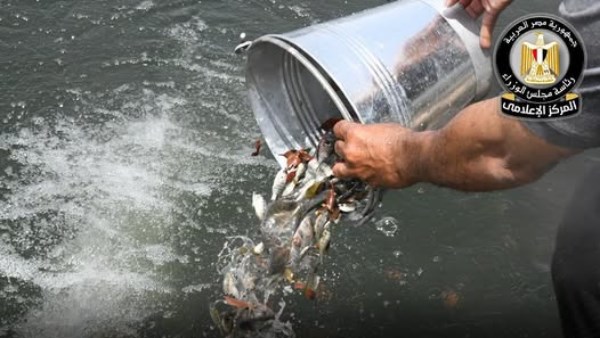 زريعة الأسماك