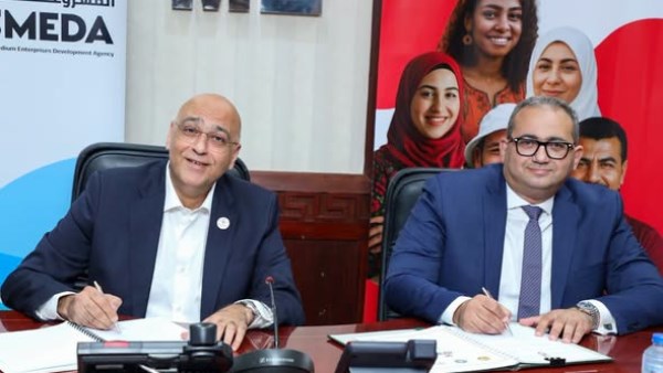 تنمية المشروعات