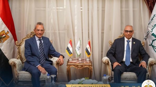 المستشار هاني حنا