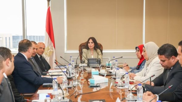  المهندسة راندة المنشاوي