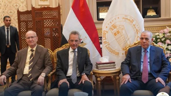 المستشار هاني حنا