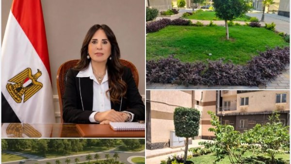 المهندسة راندة المنشاوي