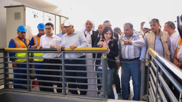المهندسة راندة المنشاوي