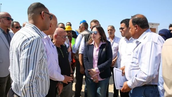 المهندسة راندة المنشاوي
