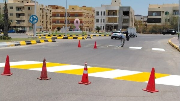 الشيخ زايد 