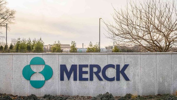 Merck shares