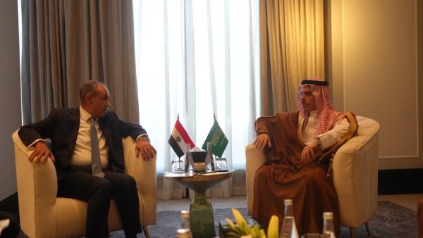 بدر عبد العاطي