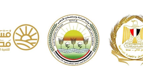 وزارتا التموين والتجارة الداخلية