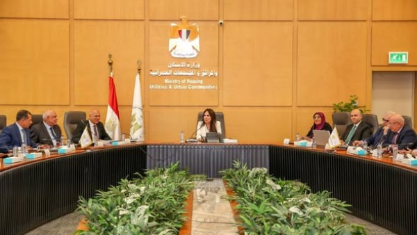  راندة المنشاوي
