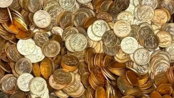 50 سبيكة وأكوام من العملات.. اكتشاف كنز مخبأ داخل منزل في بلجيكا