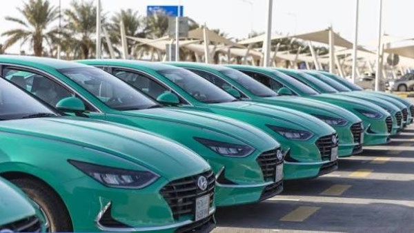 «هيئة تطوير المدينة المنورة»: 7 سبتمبر موعدًا نهائيًا لتقديم وثائق تأهيل مشغلي سيارات الأجرة