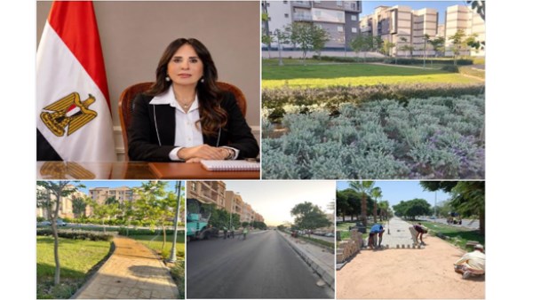 المهندسة راندة المنشاوي