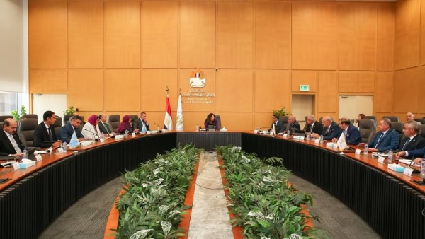 المهندسة راندة المنشاوي