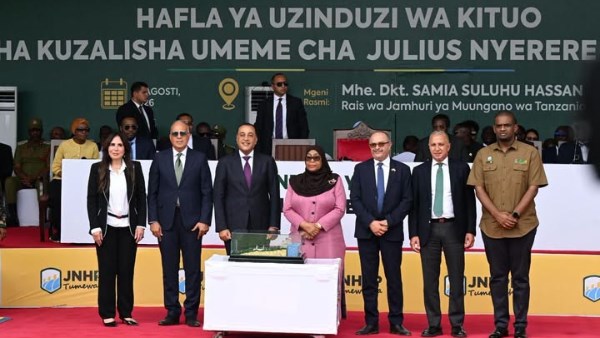 محطة «جوليوس نيريري»