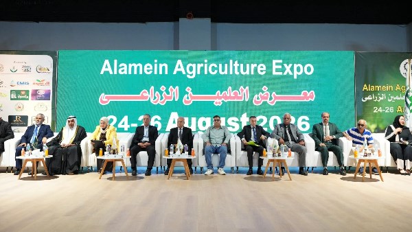 العلمين الجديدة 