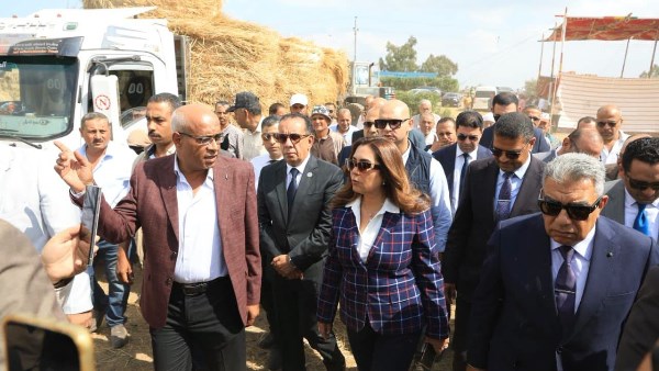  منال عوض