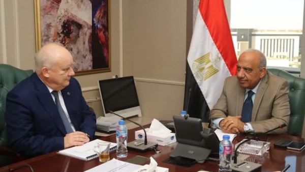 محمود عصمت