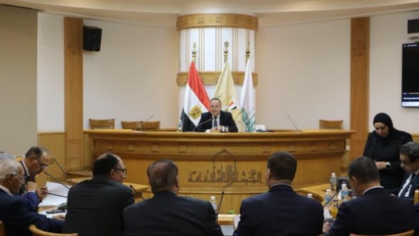  عبد العزيز قنصوة