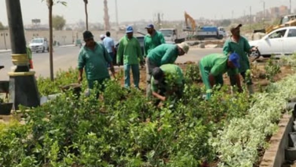«تخضير القاهرة».. خطة جديدة لزيادة المساحات الخضراء وتحسين جودة الحياة