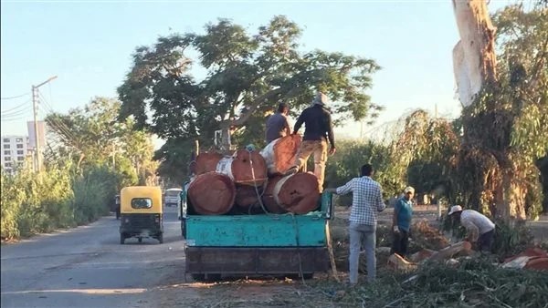 وزير الري يوجه بالتحقيق في واقعة قطع أشجار داخل حرم قناطر إدفينا