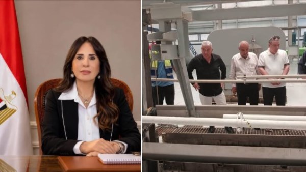 المهندسة راندة المنشاوي
